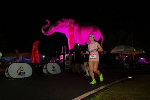 BIB: 
                            <button type="button" onclick="openModal(26543295)" class="btn btn-primary btn-sm float-right btn-popup" data-toggle="modal" data-target=".modal-high-quality">
                        <i class="fas fa-shopping-cart"></i> Add to Cart
                    </button>
                                            <button type="button" onclick="isThisMe(26543295, true)" class="btn btn-success btn-sm float-right btn-popup btn-isme hidden" data-toggle="tooltip" data-placement="bottom" title="นี่คือรูปของคุณใช่ไหม คลิกที่นี่เพื่อเอาเข้าอัลบั้ม">
                        <i class="fas fa-plus"></i> Add to album
                    </button>
                    <button type="button" onclick="isThisMe(26543295, false)" class="btn btn-warning btn-sm float-right btn-popup btn-isnotme hidden">
                        <i class="fas fa-ban"></i> Remove from album
                    </button>